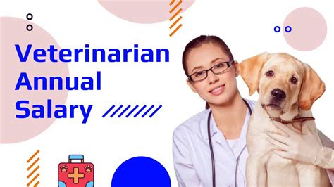 Hourly pay for vet assistant - As of Jan 21, 2024, the average hourly pay for a Veterinary Assistant in Tampa is $15.17 an hour. While ZipRecruiter is seeing salaries as high as $22.49 and as low as $9.54, the majority of Veterinary Assistant salaries currently range between $14.33 (25th percentile) to $17.93 (75th percentile) with top earners (90th …